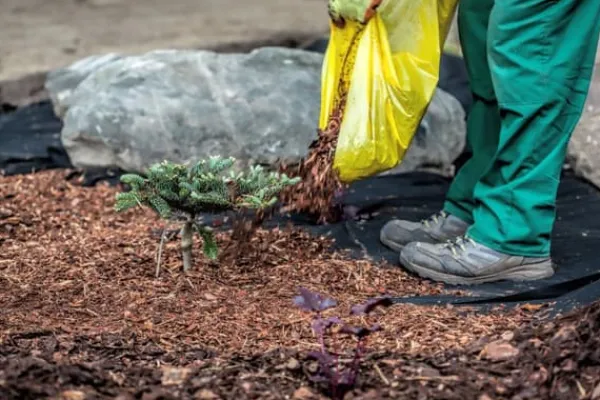 Best 180 m² Havefleece Ukrudtsbekæmpelsesstof Ukrudtsforing Mulchforing Mulchstof 150 g 1,2 m vægt. Haveduge