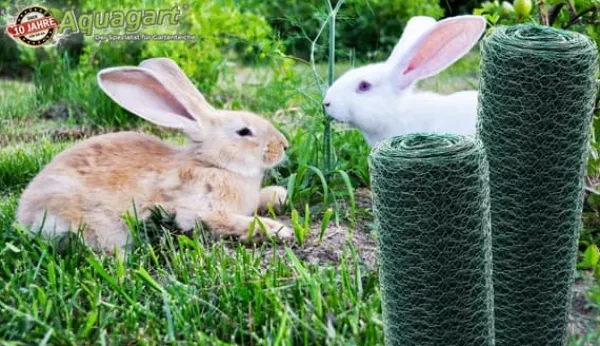Hot 20 m Sekskantet net Kyllingehegn Kanin wire Kanin gitter Grøn Hare wire 50 cm Haveduge