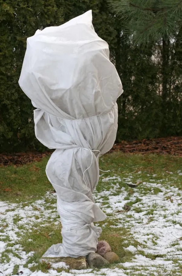 Haveduge^300 m² Vinterbeskyttelsesfleece Isolerende havefleece Frostbeskyttelsesfleece 150 g 2 m bred