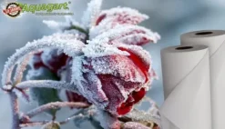 Haveduge^24 m² Vinterbeskyttelsesfleece Isolerende havefleece Frostbeskyttelse 60 g