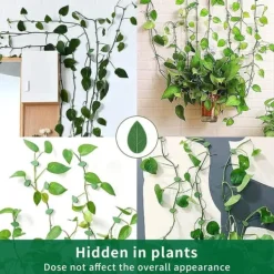 Krukker & Plantebeholdere^60 plantevægklemmer, klatrevægklemmer, usynlige vinklemmer, selvklæbende planteklemmer med krog, vinklemmer