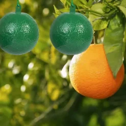 Sale 10 st fruktflugfälla med klibbig knottdödare fruktflugfällor Effektiv flugfångare Insektsfälla för inomhus utomhuskök Skadedyrsfælder