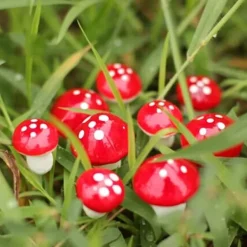 Havedekorationer^50 st Mini svampdekoration Miniatyrträdgårdshantverk liten konstgjord svamp