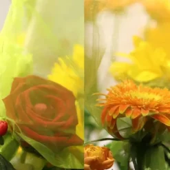 Outlet 30 stk. 20*30 cm frugtposer med snøre, genanvendelige haveposer, frugtposer, velegnede til frugttræer, grøntsager og blomster Havekurve