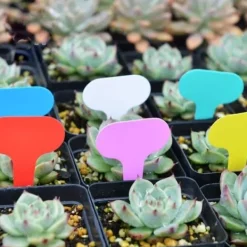 Krukker & Plantebeholdere^50 stk. orange plastik T-formede havemærker til planteskoler, havedekorationer, urtepotter, plantemærker