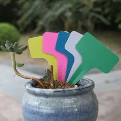 Krukker & Plantebeholdere^50 stk. orange plastik T-formede havemærker til planteskoler, havedekorationer, urtepotter, plantemærker