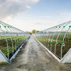 New 40 stk. store plastikklips til drivhuse 11-12 mm til nettunnelklips, drivhusfilmklips til støtte af sæsonbestemte planteudvidelser Haveduge