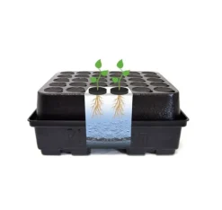 Kit Til Plante- & Urtedyrkning^Aeroponisk system DWC Clone 12 Platinium