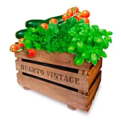 Online Agreen Urban Have Vintage Eco Gylden Kit Til Plante- & Urtedyrkning