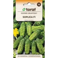 Frø^Agurkefrø Soplica F1 - Medium og højtydende til syltning
