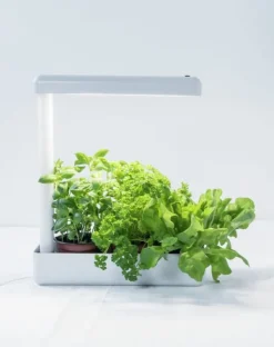 Krukkeplanter Indendørs^Airam Herby -kasvivalaisin, 10W/840, 650 lm, valkoinen