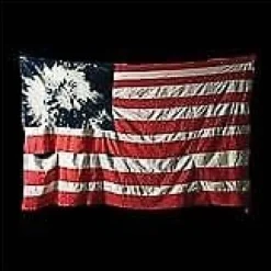 Best Akron/Family : Set 'Em Wild, Set 'Em Free CD (2009) Flag & Vindposer