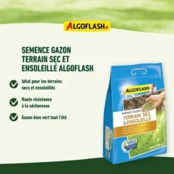 Frø^ALGOFLASH - Tør, solrig græsplæne 1 kg