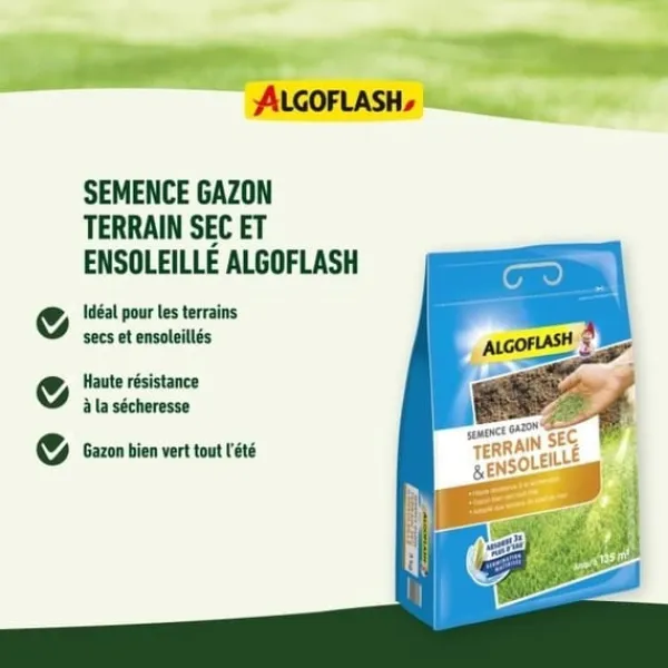 Frø^ALGOFLASH - Tør, solrig græsplæne 1 kg