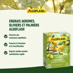 Online ALGOFLASH NATURASOL Gødning til citrusfrugter, oliven og palmer - 1 kg Gødningsmidler