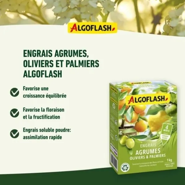 Online ALGOFLASH NATURASOL Gødning til citrusfrugter, oliven og palmer - 1 kg Gødningsmidler