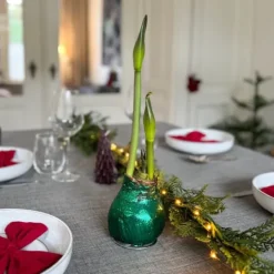 Discount Amaryllis - Hippeastrum 'Glitter Duo' - Rød og grøn Frø