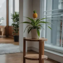 Discount Ananasplante - Sæt med 2 - Ananas comosus 'Mi Amigo' - Højde 35-45cm - ⌀12cm Krukkeplanter Indendørs