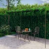 Buer, Spalier, Lysthuse Uden Tag^Antikbrun jernpergola til roser og klatreplanter | Størrelse: 6x3x2,5 m