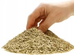 Frø^ARPON PARKGRÆS 1 KG