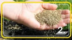 Online ARPON UNIVERSAL GRÆS PREMIUM 5KG Frø