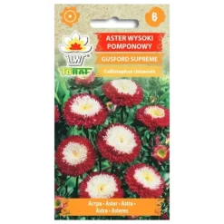 Best Asterfrø Gusford Supreme - Flerfarvede pomponblomster til blomsterbede og buketter Frø