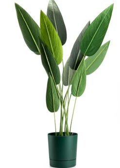 Krukker & Plantebeholdere^Azalea avocadogryde med underkop 22 cm