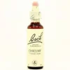 Online Bach 08 Chycori 20ml Blomster