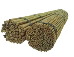 Discount Bambusstænger 180 cm 20/22 mm 50 stk/ Krukker & Plantebeholdere