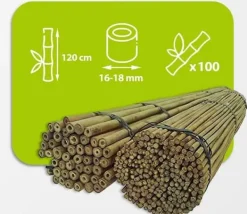 Krukker & Plantebeholdere^Bambusstænger 120 cm 16/18 mm /100 stk/