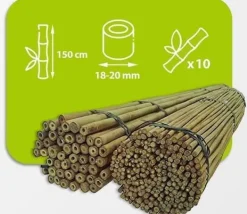 Krukker & Plantebeholdere^Bambusstænger 150 cm 18/20 mm /10 stk/