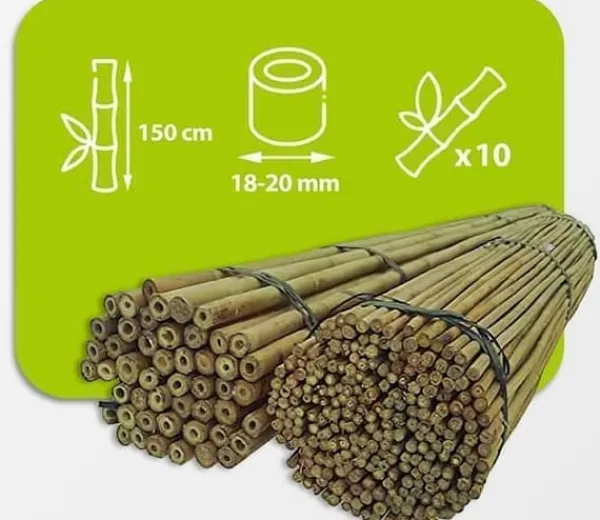 Krukker & Plantebeholdere^Bambusstænger 150 cm 18/20 mm /10 stk/