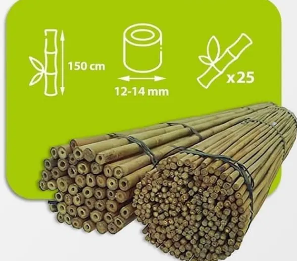 Krukker & Plantebeholdere^Bambusstænger 150 cm 12/14 mm /25 stk/