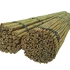 Bambusstænger 90 cm 6/8 mm /100 stk/ Krukker & Plantebeholdere