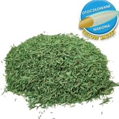 Frø^Barenbrug Græs SHADOW Shadow & Sun 1kg BELAGTE FRØ SUN - SHADOW
