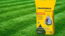 Frø^Barenbrug græs VANDBESPARENDE 5 kg TIL TØRRE OMRÅDER OG BELAGT FRØ