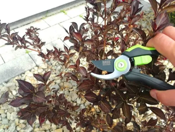 Outlet Beskæringssaks til buske og grene, manual Haveværktøj