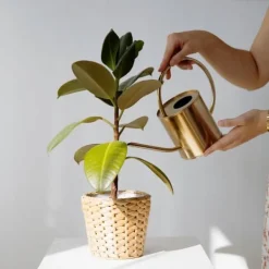 Gødningsmidler^BIOHUMUS GØDNING 0,5L UNIVERSAL AGRECOL