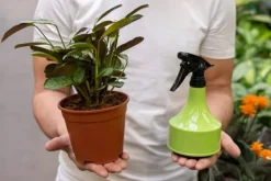 Gødningsmidler^BIOHUMUS GØDNING 0,5L UNIVERSAL AGRECOL
