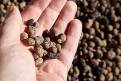 Outlet BIOVITA GARDENING EKSPANDERET LER ideel til dræning 8-16MM 2L Jord & Sand