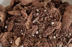Jord & Sand^BIOVITA ORKIDÉSUBSTRAT 3L