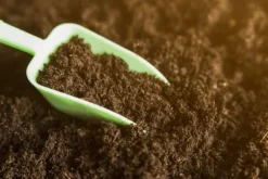 Hot BIOVITA SURT TORV til blåbær og syreholdige planter 3,5-4,5 PH 20 l Jord & Sand