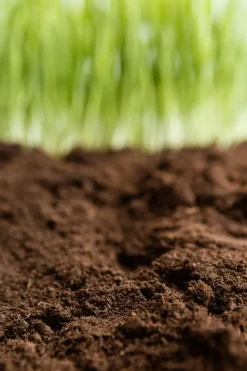 Jord & Sand^BIOVITA SURT TØRVESUBSTRAT til blåbær og acidofile planter 5L