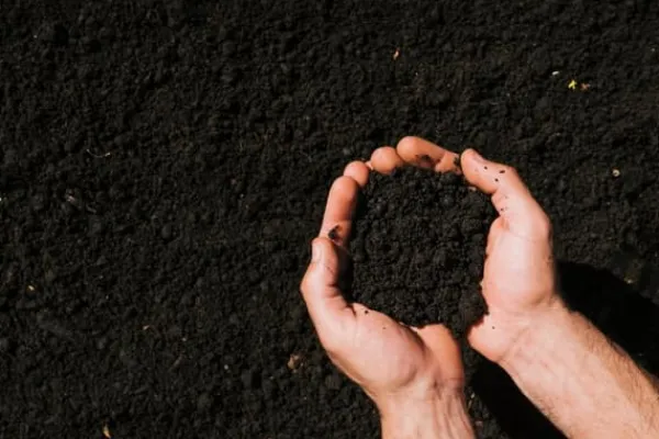 Jord & Sand^BIOVITA SURT TØRVESUBSTRAT til blåbær og acidofile planter 5L