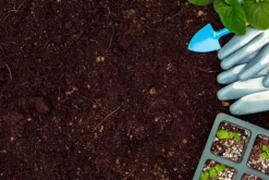 Sale BIOVITA SURTØRV til blåbær og syreholdige planter pH 3,5-4,5 50L Jord & Sand