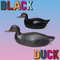 Discount Black Duck - Black Duck (CD) Til Fugle & Småvildt