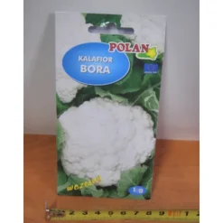 Frø^BLOMKÅL BORA frø 1g TF1591