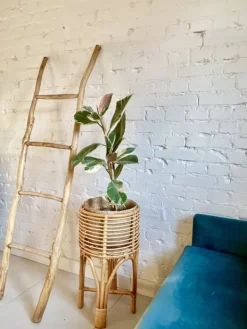 Outlet BLOMSTERBED POLLIE S NATURLIG Plantestativer