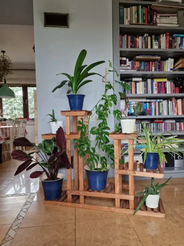 Plantestativer^Blomsterkrukke af træ til hjemmet RKB /95x116x25/ Brun