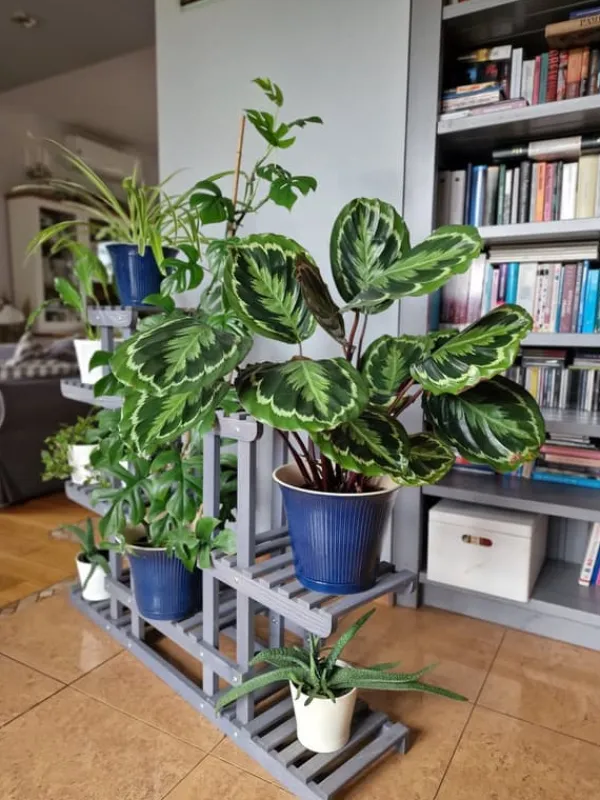Discount Blomsterkumme i træ 95x116x25 cm, flerniveau/grå/RKB Plantestativer